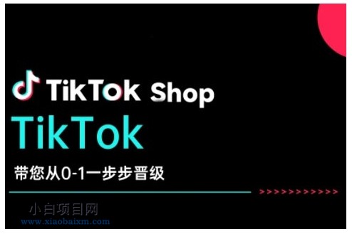 TikTok Shop带您从0-1一步步晋级，开启电商新征程，在TikTok商业领域实现突破与成长-小白项目分享网