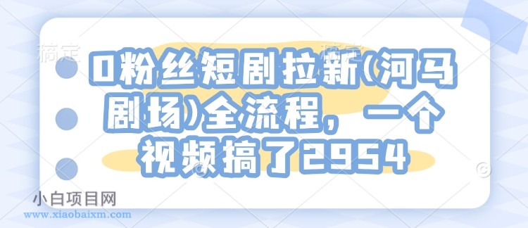 0粉丝短剧拉新(河马剧场)全流程，一个视频搞了2954-小白项目分享网