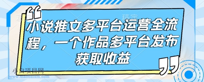 小说推文多平台运营全流程，一个作品多平台发布获取收益-小白项目分享网