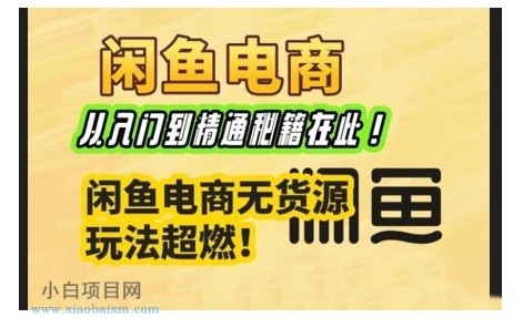 闲鱼电商实战课，从入门到精通秘籍在此，闲鱼电商无货源玩法超燃!-小白项目分享网