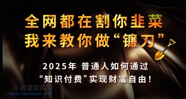 全网都在割你韭菜，我来教你做镰刀，2025年普通人如何通过 知识付费 实现财F自由【揭秘】-小白项目分享网