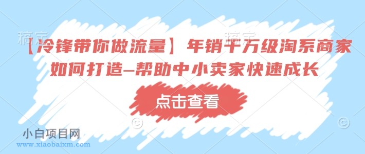 【冷锋带你做流量】年销千万级淘系商家如何打造–帮助中小卖家快速成长-小白项目分享网