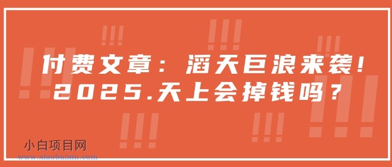 付费文章：滔天巨浪来袭！2025天上会掉钱吗？-小白项目分享网