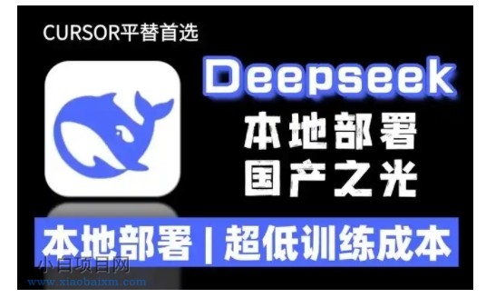 2025年deepseek R1 大型模型本地安装部署(文件+教程)本地部署，超低训练成本-小白项目分享网