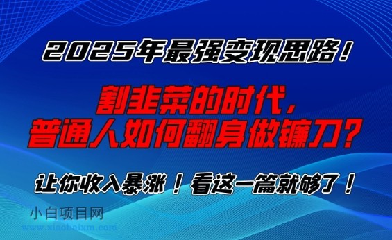 2025年最强变现思路，割韭菜的时代， 普通人如何翻身做镰刀？【揭秘】-小白项目分享网