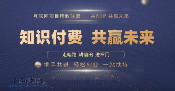 别人苦寻无果，为何他们靠知识付费卖项目 2025 年轻松年入100个?【揭秘】-小白项目分享网