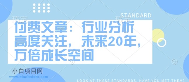 付费文章：行业分析 高度关注，未来20年，万倍成长空间-小白项目分享网