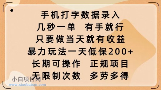 手机打字数据录入，几秒一单，有手就行，只要做当天就有收益，暴力玩法一天低保2张-小白项目分享网