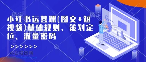 小红书运营课(图文+短视频)基础规则、策划定位、流量密码-小白项目分享网