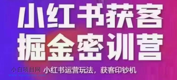 小红书获客掘金线下课，录音+ppt照片，小红书运营玩法，获客印钞机-小白项目分享网