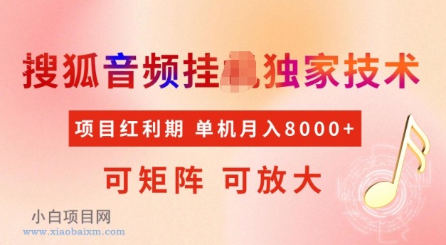 首发搜狐音频挂JI，项目红利期，可矩阵可放大，稳定月入5k【揭秘】-小白项目分享网