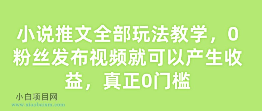 小说推文全部玩法教学，0粉丝发布视频就可以产生收益，真正0门槛-小白项目分享网