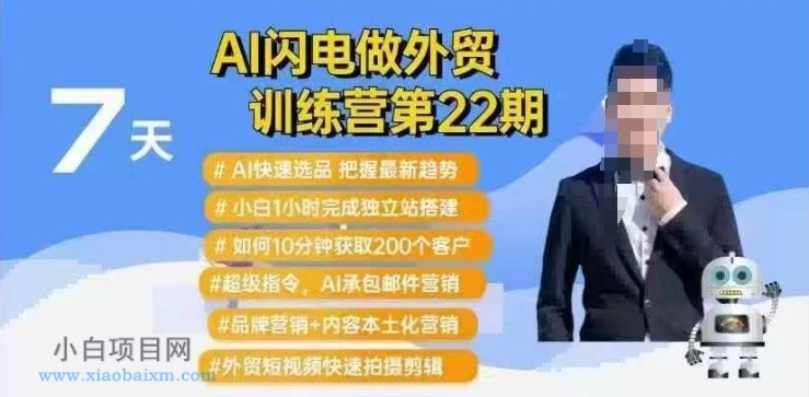 AI闪电做外贸训练营第22期：Al快速选品+小白1小时完成独立站搭建+10分钟获取200个客户等-小白项目分享网