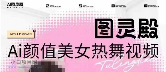 全网首发，原价988图灵殿AI颜值美女热舞视频，云端生图，轻松过原创-小白项目分享网