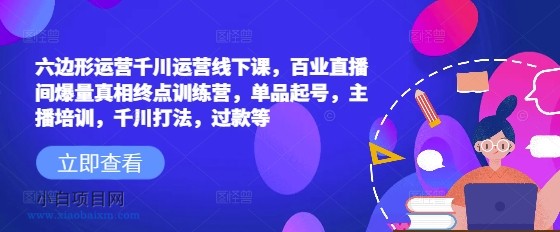 六边形运营千川运营线下课，百业直播间爆量真相终点训练营，单品起号，主播培训，千川打法，过款等-小白项目分享网