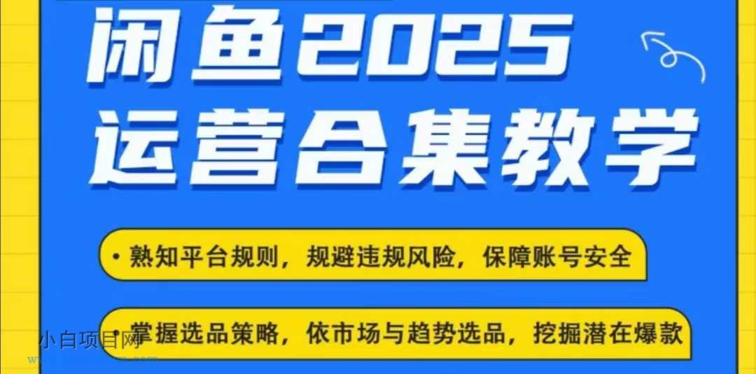 2025闲鱼电商运营全集，2025最新咸鱼玩法-小白项目分享网