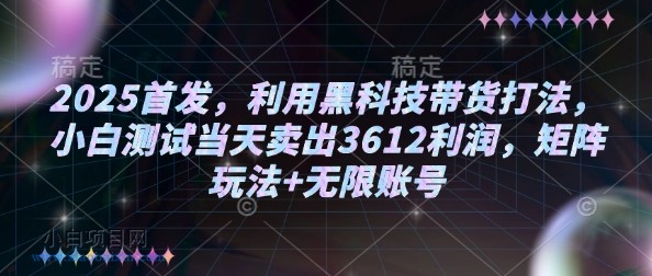 2025首发，利用黑科技带货打法，小白测试当天卖出3612利润，矩阵玩法+无限账号【揭秘】-小白项目分享网