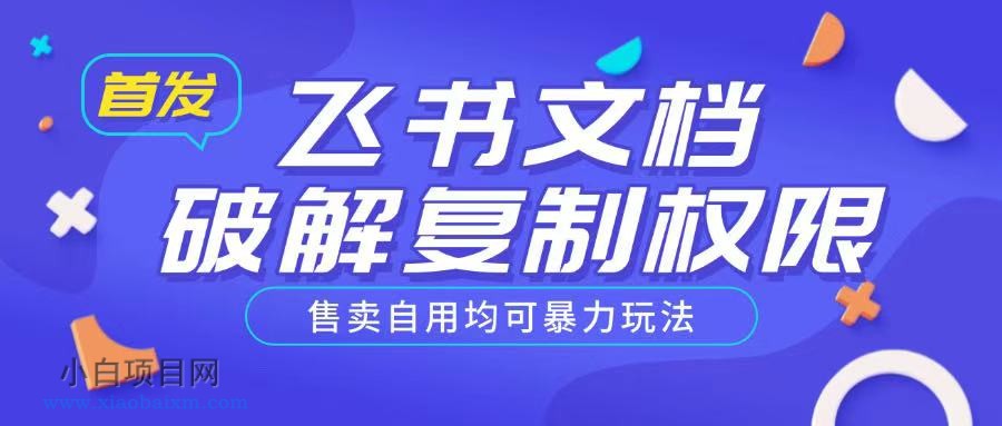 首发飞书文档破解复制权限，售卖自用均可暴力玩法-小白项目分享网