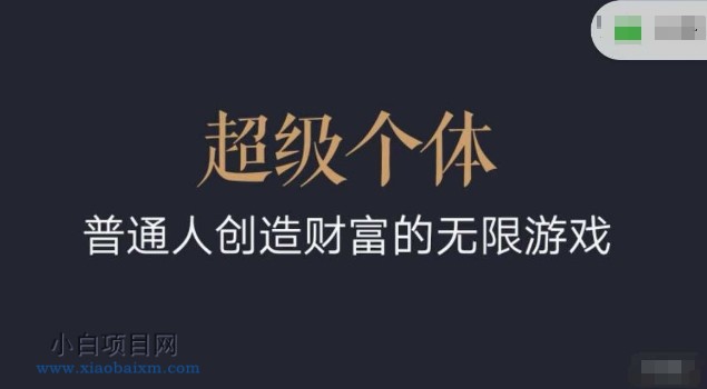 超级个体2024-2025翻盘指南，普通人创造财富的无限游戏-小白项目分享网