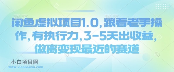 闲鱼虚拟项目1.0，跟着老手操作，有执行力，3-5天出收益，做离变现最近的赛道-小白项目分享网