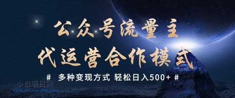 公众号流量主代运营  多种变现方式 轻松日入5张【揭秘】-小白项目分享网