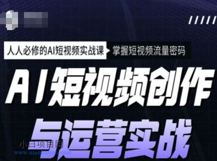 AI短视频创作与运营实战课程，人人必修的AI短视频实战课，掌握短视频流量密码-小白项目分享网