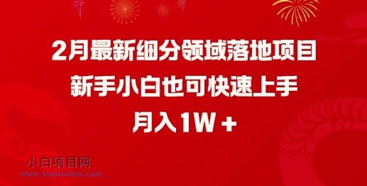 2月最新细分领域落地项目，新手小白也可快速上手，月入1W-小白项目分享网