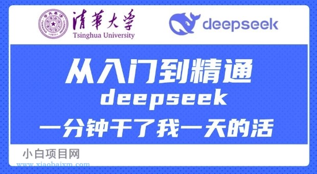 清华大学讲DeepSeek最全教程，从入门到精通，deepseek一分钟干了我一天的活-小白项目分享网