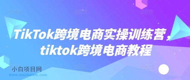 TikTok跨境电商实操训练营，tiktok跨境电商教程-小白项目分享网