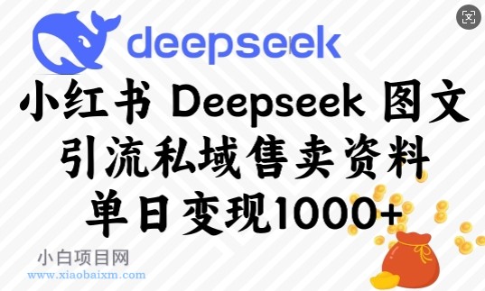 小红书Deepseek图文引流私域售卖资料，单日变现多张-小白项目分享网
