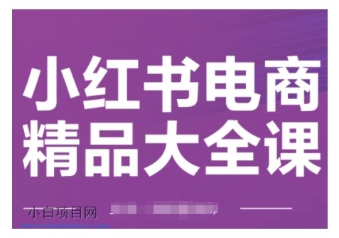 小红书电商精品大全课，快速掌握小红书运营技巧，实现精准引流与爆单目标，轻松玩转小红书电商(更新2月)-小白项目分享网
