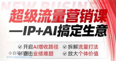 2025年超级流量营销课，IP+AI搞定生意，开启AI增收路径 直击业绩难题 拆解流量打法 放大个体价值-小白项目分享网