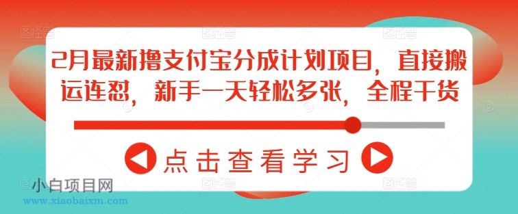 2月最新撸支付宝分成计划项目,直接搬运连怼,新手一天轻松多张,全程干货-小白项目分享网
