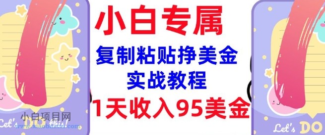 复制粘贴挣美金，0门槛，1天收入95美刀，3分钟学会，内部教程(首次公开)-小白项目分享网