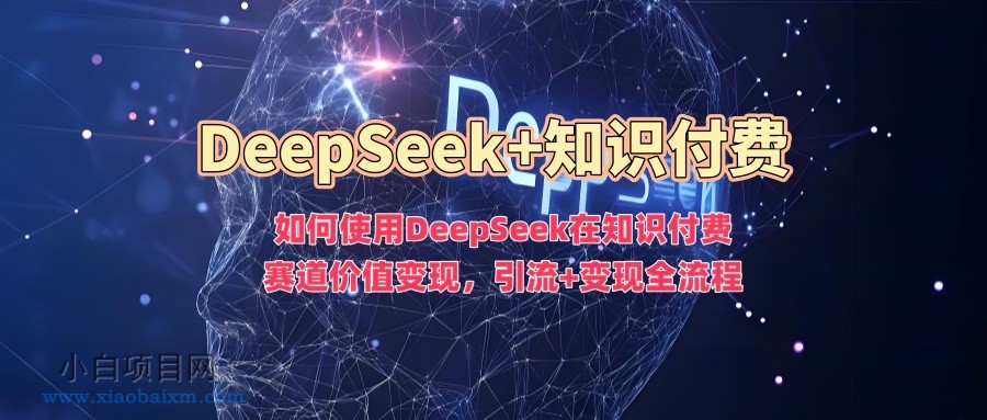 如何使用DeepSeek在知识付费赛道价值变现，引流+变现全流程-小白项目分享网