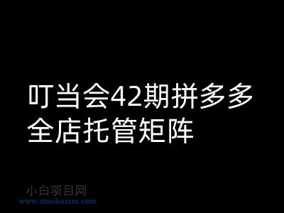 叮当会拼多多打爆班原创高阶技术第42期，拼多多全店托管矩阵-小白项目分享网