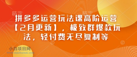 拼多多运营玩法课高阶运营【2月更新】，极致群爆款玩法，轻付费无尽复制等-小白项目分享网