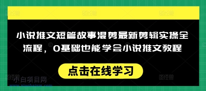 小说推文短篇故事混剪最新剪辑实操全流程，0基础也能学会小说推文教程，肯干多发日入多张-小白项目分享网