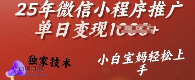 25年微信小程序推广单日变现多张，独家技术，小白宝妈轻松上手【揭秘】-小白项目分享网