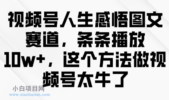 视频号人生感悟图文赛道，条条播放10w+，这个方法做视频号太牛了-小白项目分享网