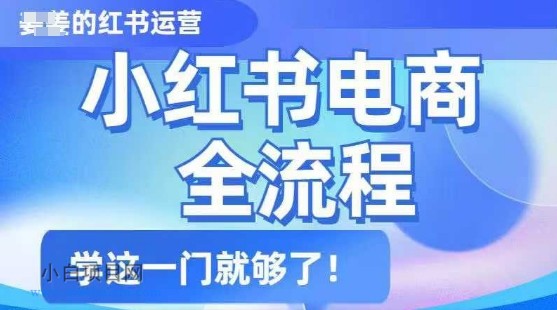 小红书电商全流程，精简易懂，从入门到精通，学这一门就够了-小白项目分享网