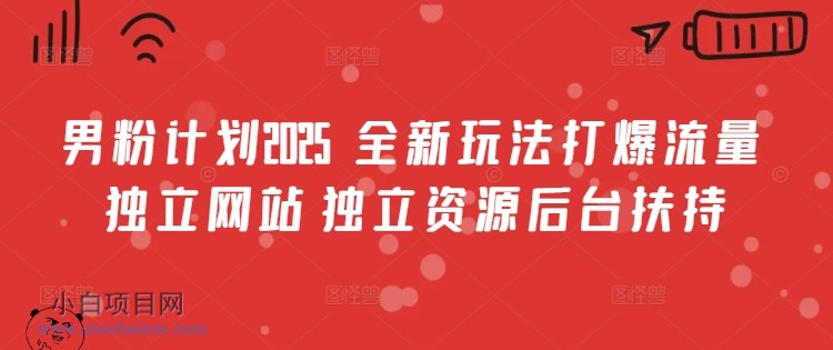 男粉计划2025  全新玩法打爆流量 独立网站 独立资源后台扶持【揭秘】-小白项目分享网