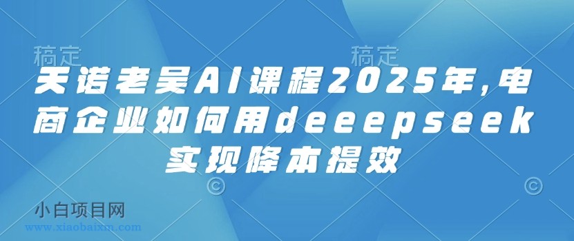 天诺老吴AI课程2025年，电商企业如何用deeepseek实现降本提效-小白项目分享网