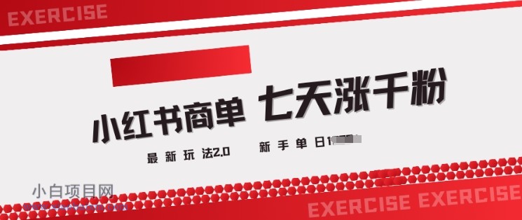 小红书商单2.0最新玩法，3天涨千粉单日变现多张-小白项目分享网