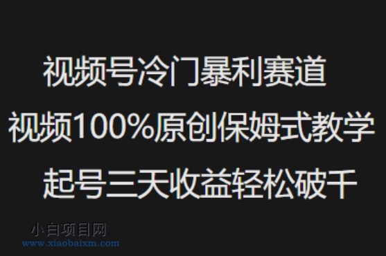 视频号冷门暴利赛道视频100%原创保姆式教学起号三天收益轻松破千-小白项目分享网