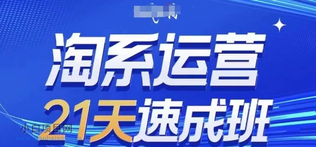 淘系运营21天速成班(更新25年2月)，0基础轻松搞定淘系运营，不做假把式-小白项目分享网