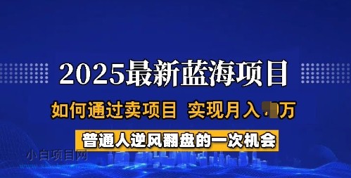 2025蓝海项目，普通人如何通过卖项目，实现月入过W，全过程【揭秘】-小白项目分享网