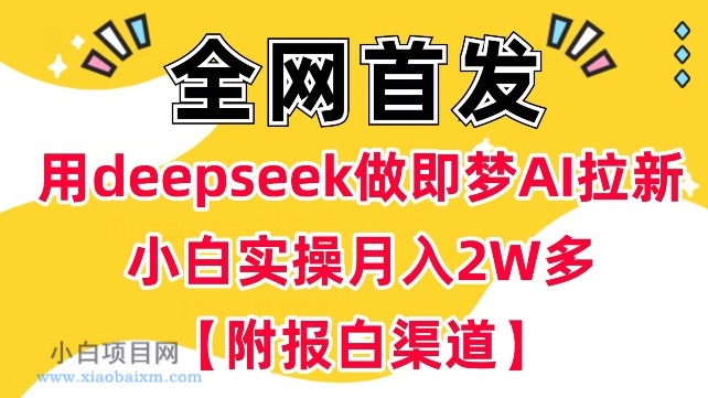 用deepseek做即梦Ai拉新 小白实操月入过W+【附报白渠道】-小白项目分享网