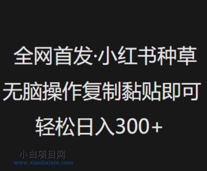 全网首发，小红书种草无脑操作，复制黏贴即可，轻松日入3张-小白项目分享网