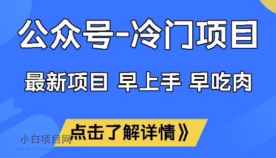 公众号冷门赛道，早上手早吃肉，单月轻松稳定变现1W【揭秘】-小白项目分享网